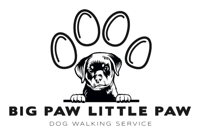 Big Paw Little Paw logo
